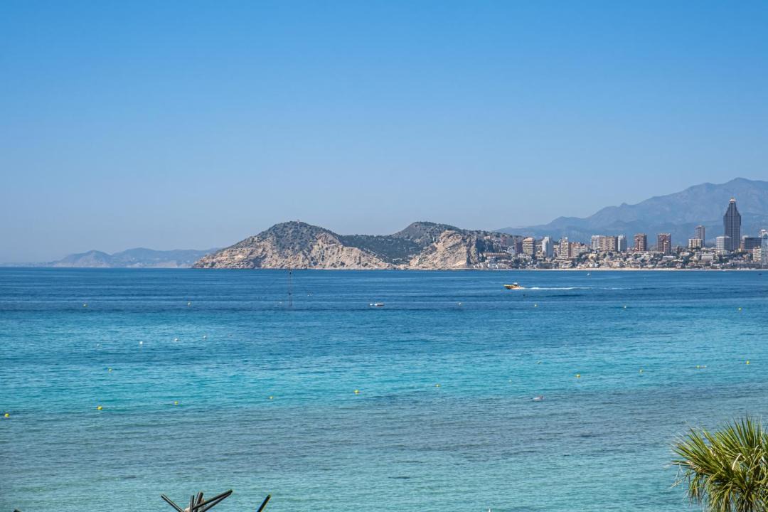 Photo of Others in Benidorm