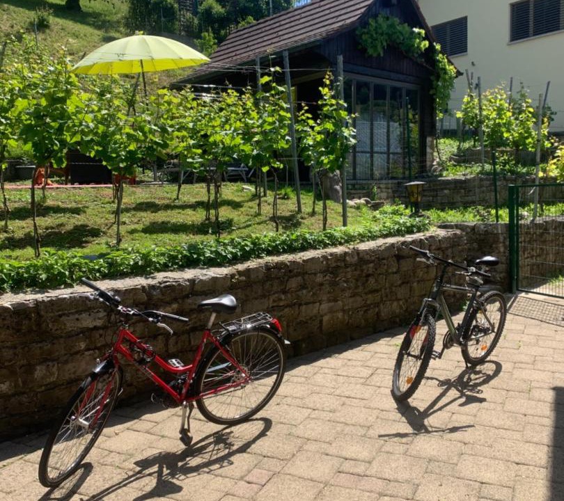 Photo of Others in Obermumpf