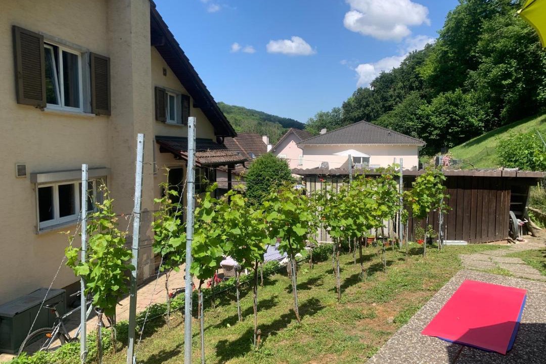 Photo of Others in Obermumpf