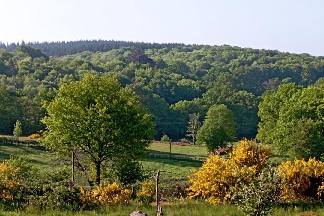 Photo of Others in Servieres-le-Chateau