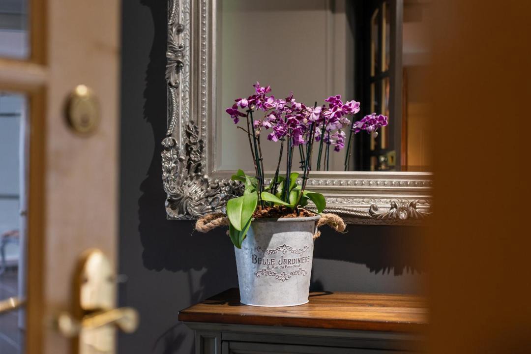 Photo of Others in Edrom