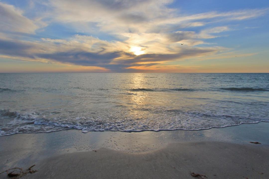 Photo of Others in Madeira Beach