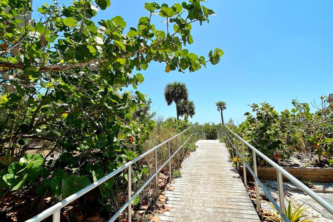 Photo of Others in Madeira Beach