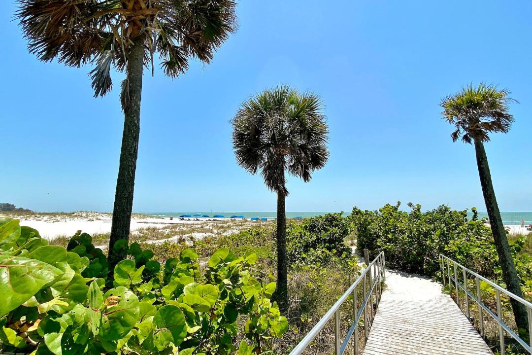 Photo of Others in Madeira Beach
