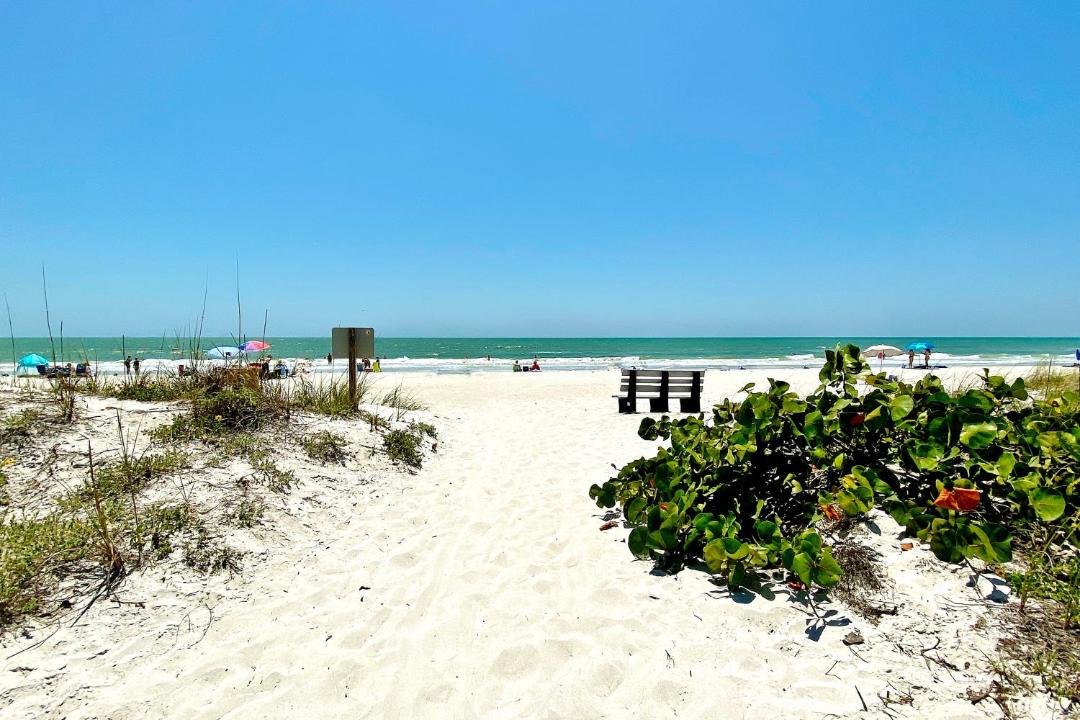 Photo of Others in Madeira Beach