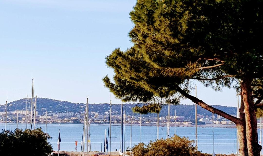 Photo of Others in Bouzigues