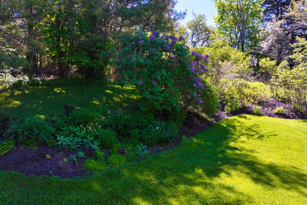 Photo of Others in Tenants Harbor