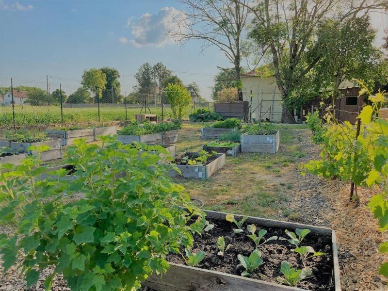 Photo of Others in Coole