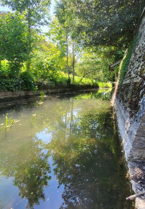 Photo of Others in Entrains-sur-Nohain