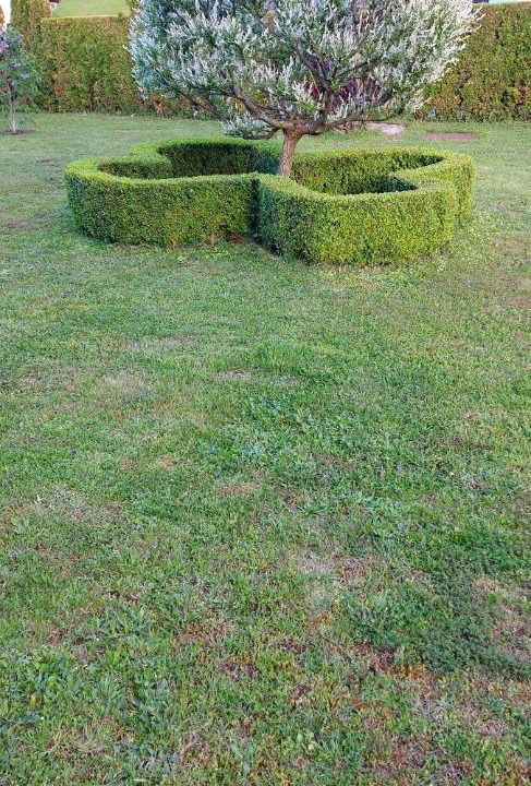 Photo of Outdoor in Korana