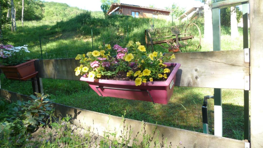 Photo of Others in Nalzen