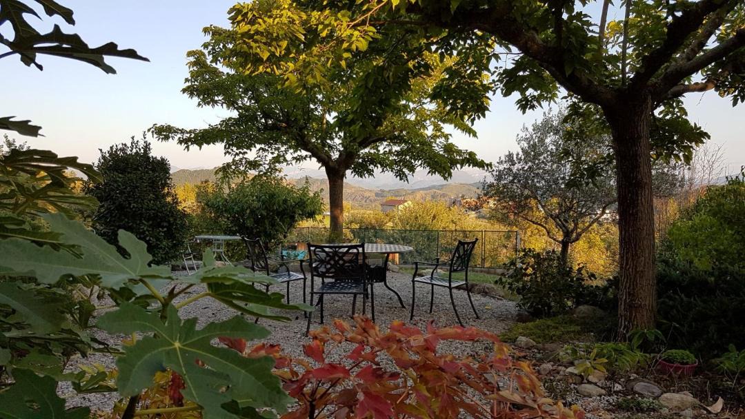 Photo of Outdoor in Laragne-Monteglin