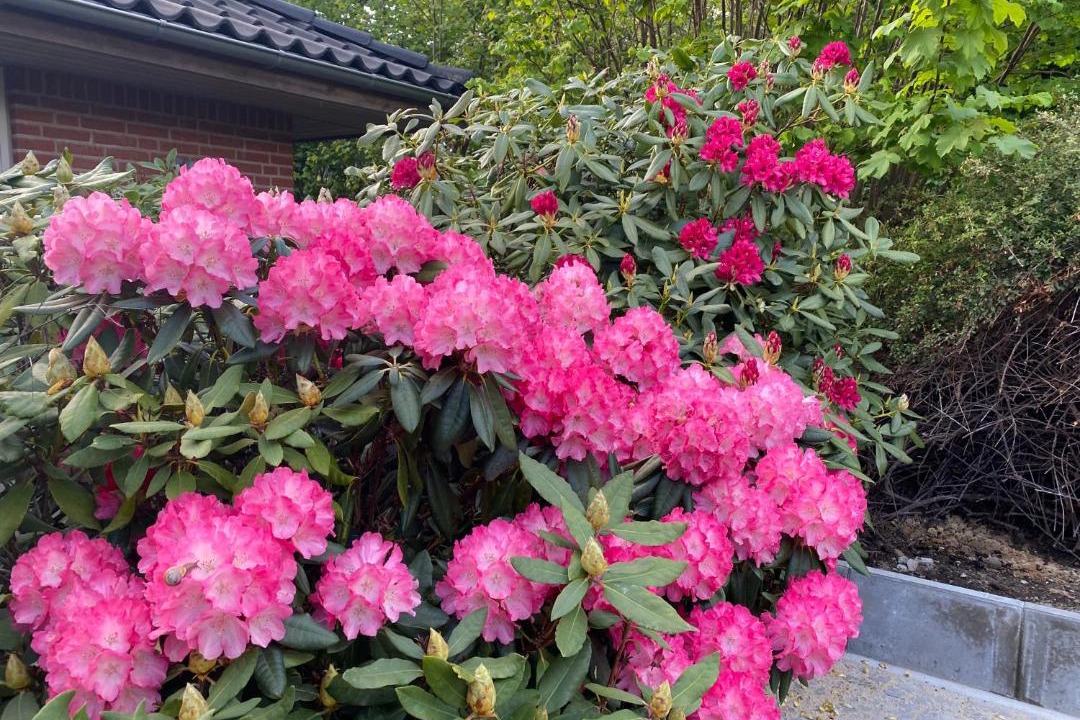 Photo of Others in Sejerslev