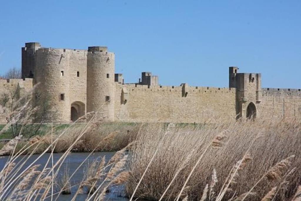 Photo of Others in Aigues-Mortes