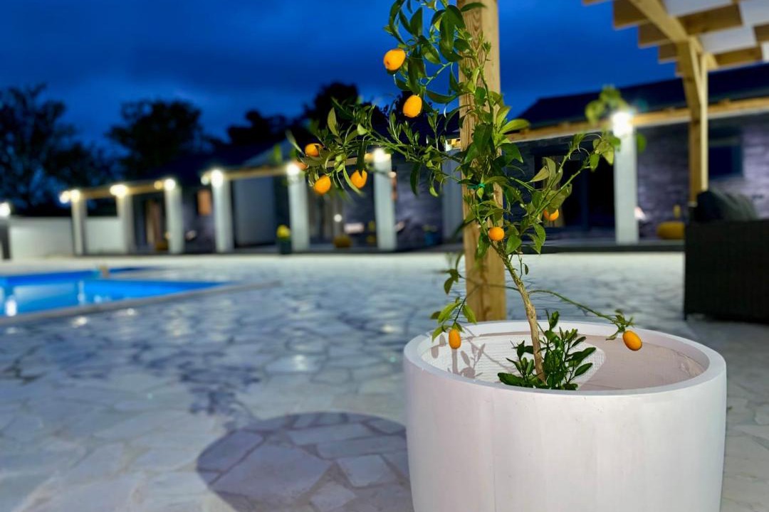 Photo of Outdoor in Benkovac