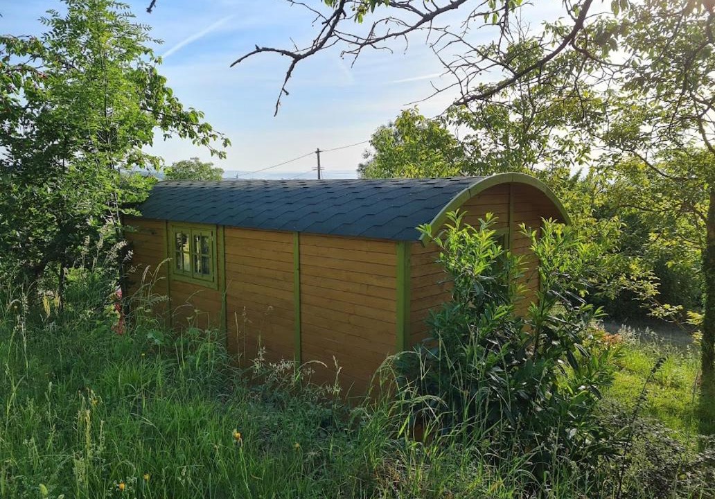 Photo of Others in Maclas