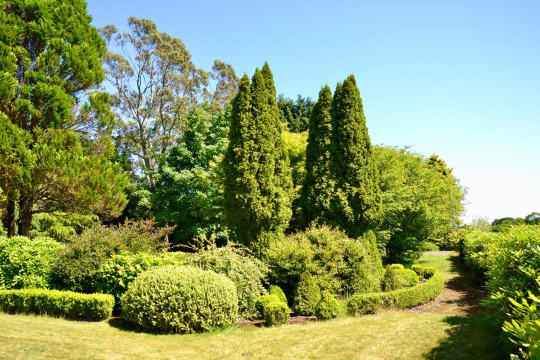 Photo of Others in Scaer