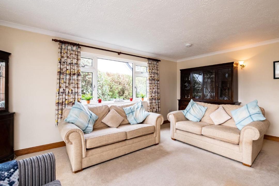 Photo of Others in Rock