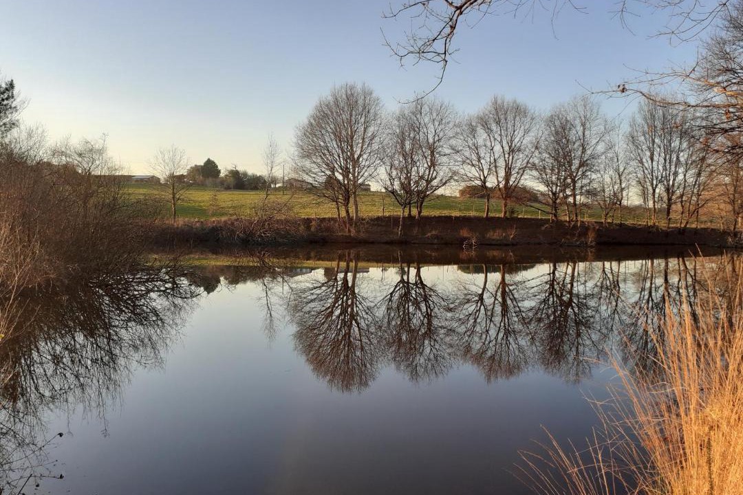 Photo of Others in Saint Martin de Coux