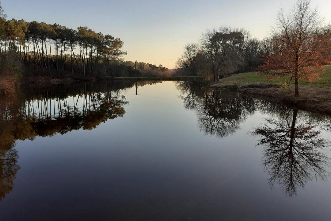 Photo of Others in Saint Martin de Coux
