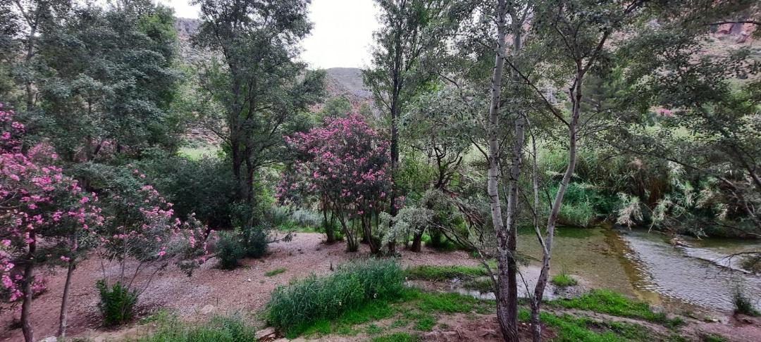 Photo of Outdoor in Gestalgar