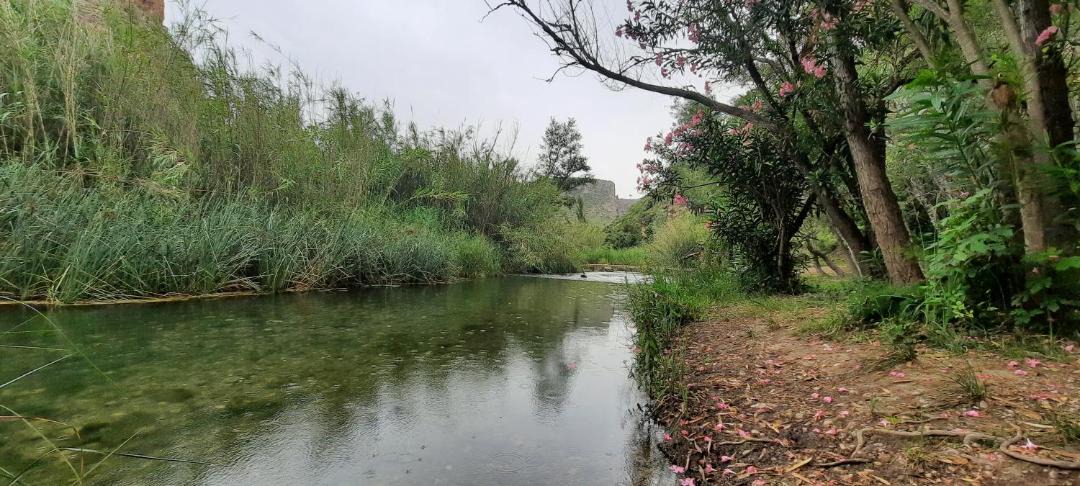 Photo of Outdoor in Gestalgar