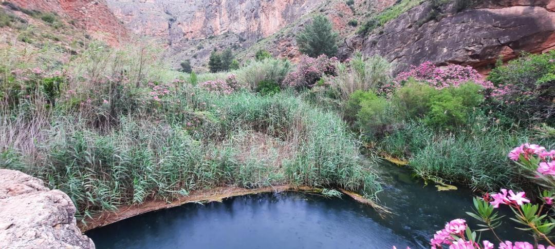 Photo of Outdoor in Gestalgar