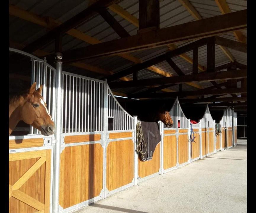 Photo of Others in Moult