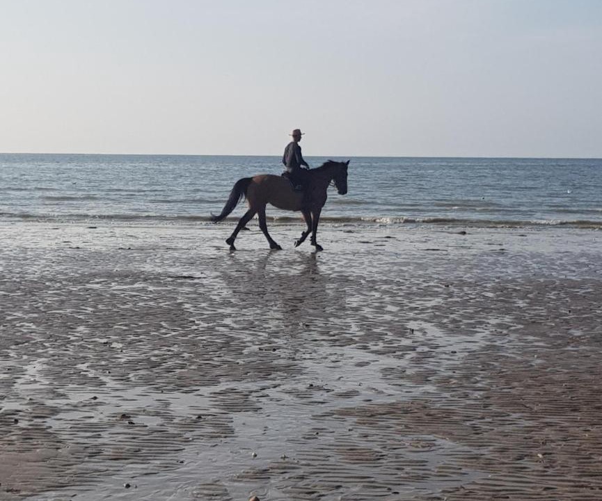 Photo of Others in Moult