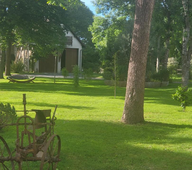 Photo of Others in Moult