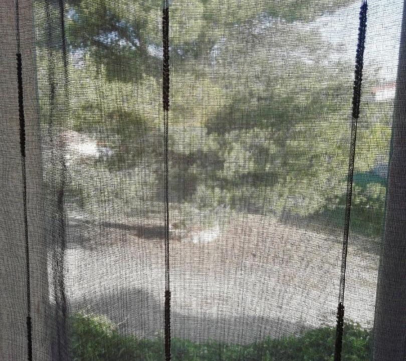 Photo of Outdoor in Le Beausset