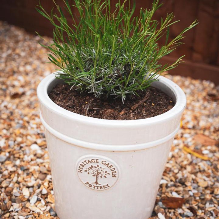 Photo of Others in Appledram