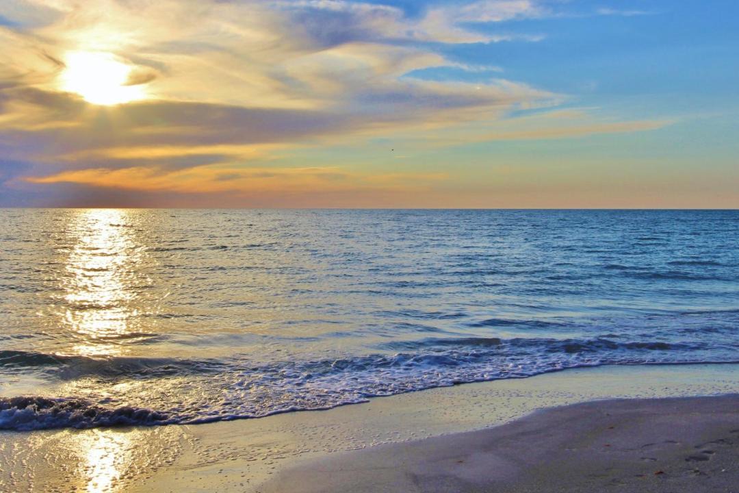 Photo of Others in Madeira Beach