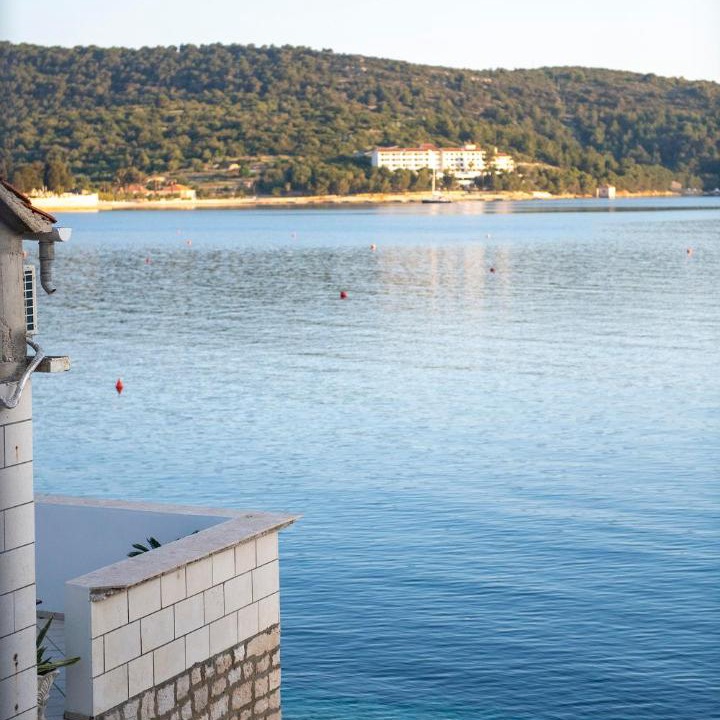 Photo of Others in Vis