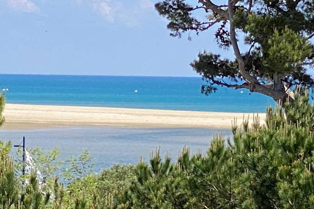 Photo of Others in La Franqui