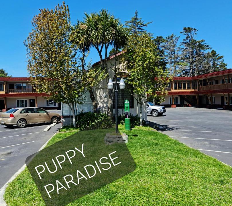 Photo of Others in Crescent City