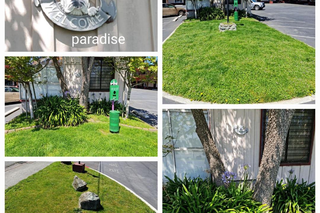 Photo of Others in Crescent City