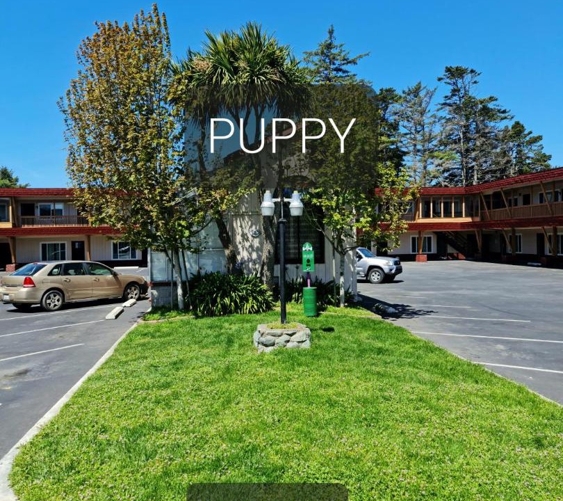 Photo of Others in Crescent City