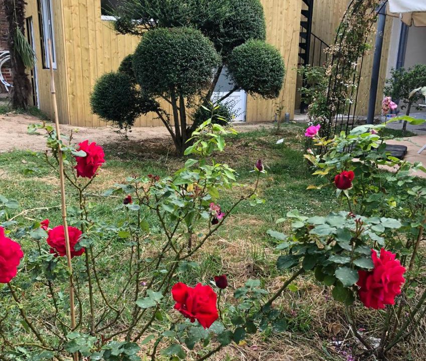 Photo of Buildings in Nord - Gare