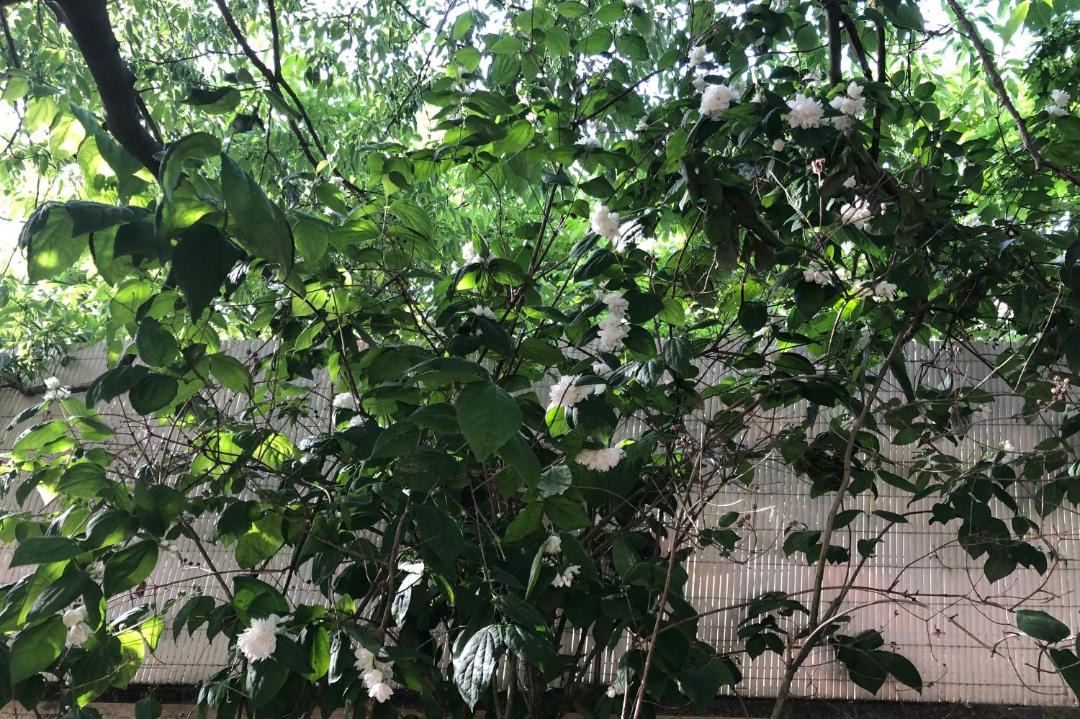 Photo of Outdoor in Nord - Gare