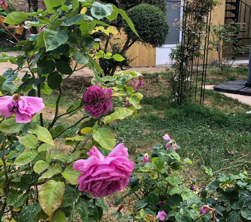 Photo of Others in Nord - Gare