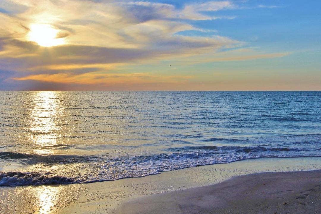 Photo of Others in Indian Rocks Beach