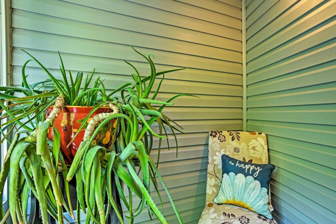 Photo of Others in Wildwood