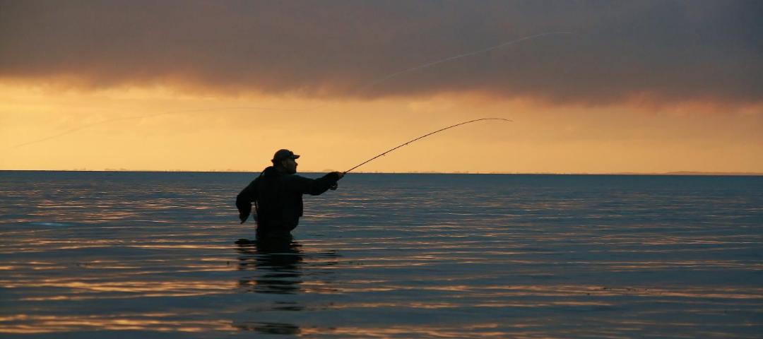 Photo of Others in Skals