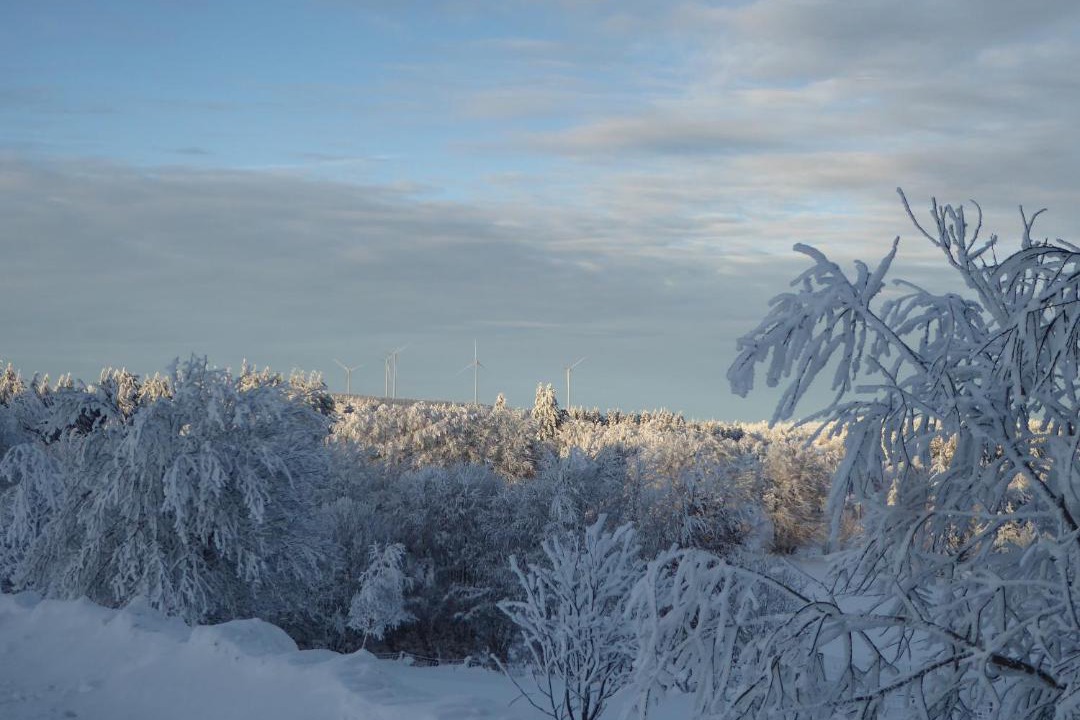 Photo of Others in Saint-Nicolas-des-Biefs