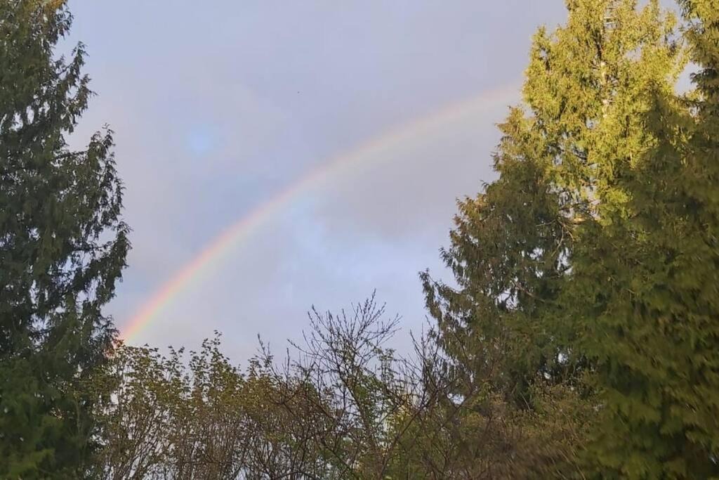 Photo of Others in Sammamish