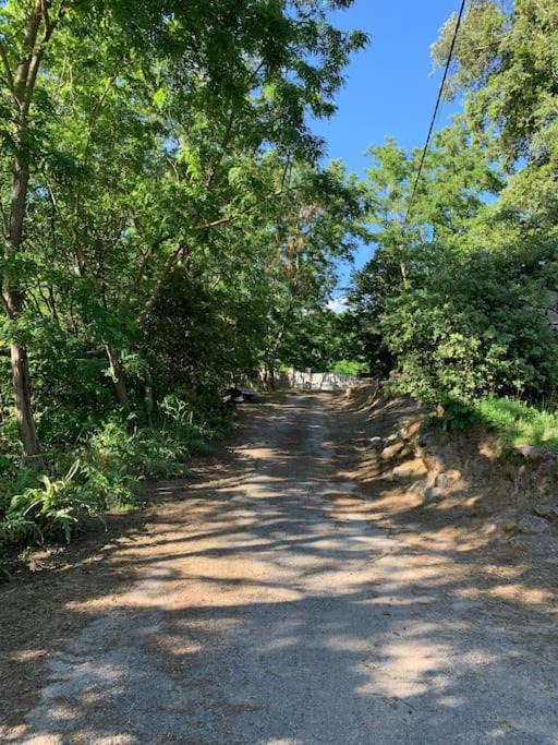 Photo of Others in Ucciani