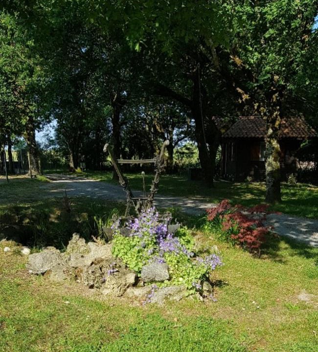 Photo of Others in Cussac-Fort-Medoc