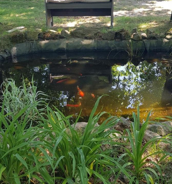 Photo of Others in Cussac-Fort-Medoc
