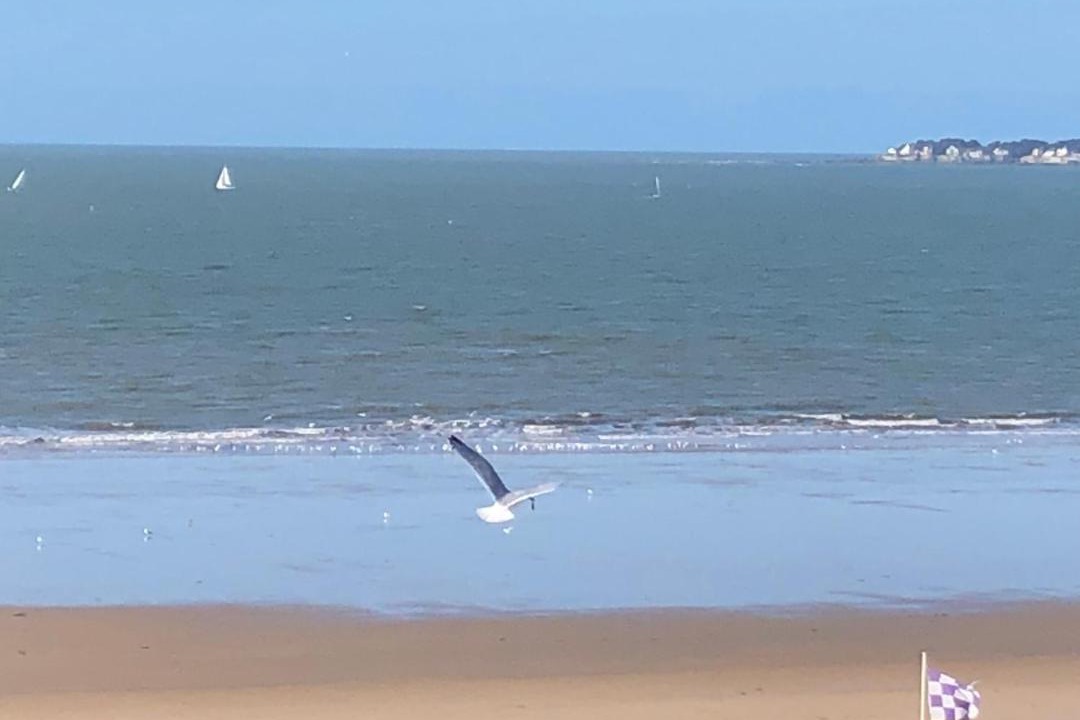 Photo of Others in Pornichet